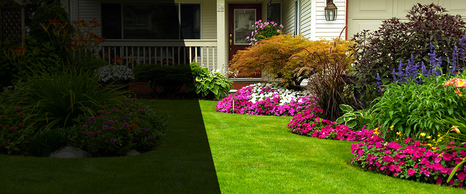 Saint Paul Landscapers