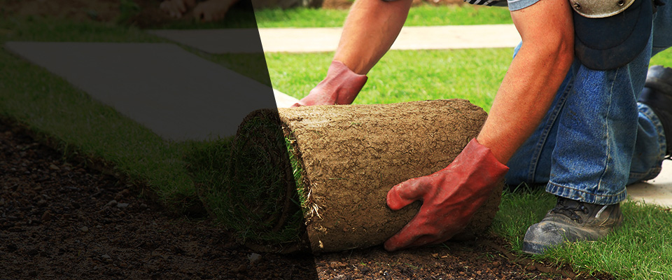 Saint Paul Landscapers